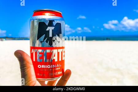 Bere una lattina di birra fredda Tecate rosso sulla spiaggia in paradiso a Playa del Carmen Quintana Roo Messico. Foto Stock