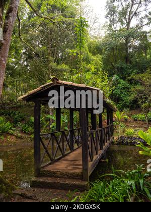 Piccolo ponte di legno dal tetto che attraversa una laguna Foto Stock