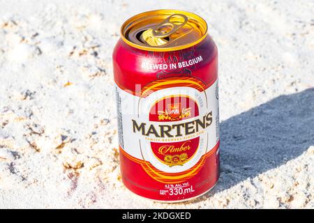 Bere una lattina di birra fredda Martens sulla spiaggia in paradiso sull'isola di Isla Holbox a Quintana Roo Messico. Foto Stock