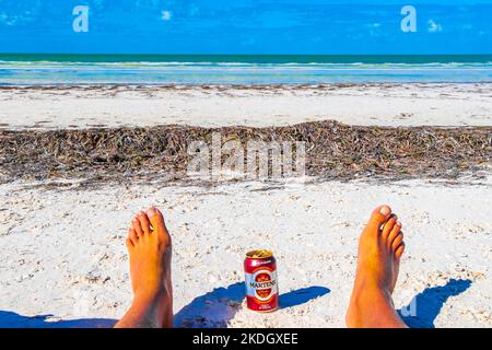 Bere una lattina di birra fredda Martens sulla spiaggia in paradiso sull'isola di Isla Holbox a Quintana Roo Messico. Foto Stock