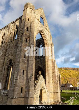 Rovine di un antico monastero del 12th ° secolo in autunno (Tintern Abbey, Galles) Foto Stock