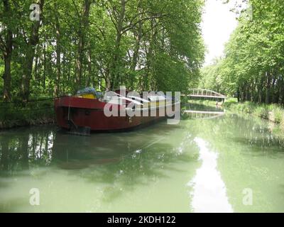 Francia meridionale, canale laterale del fiume Garonna, ( chiamato Canal lateral a la Garonne ) vista della sezione rettilinea del canale con ponte, nave e alberi Foto Stock