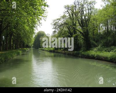 Francia meridionale, canale laterale del fiume Garonna, ( chiamato Canal lateral a la Garonne ) vista della sezione dritta del canale con alberi sulle rive Foto Stock