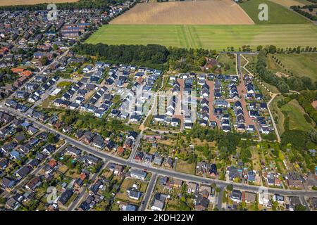 Fotografia aerea, nuovo sviluppo di alloggi Everdings Hof, Wohnpark Schulze-Everding, Bockum-Hövel, Hamm, area della Ruhr, Renania settentrionale-Vestfalia, Germania, D Foto Stock