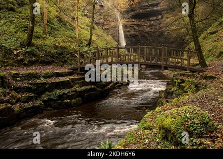 Hardraw Force, nella Yorkshire Dales Valley di Wensleydale Foto Stock