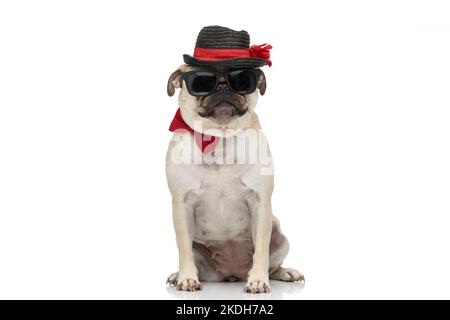 bel cane pug indossare occhiali da sole con cravatta e cappello mentre si siede su sfondo bianco Foto Stock