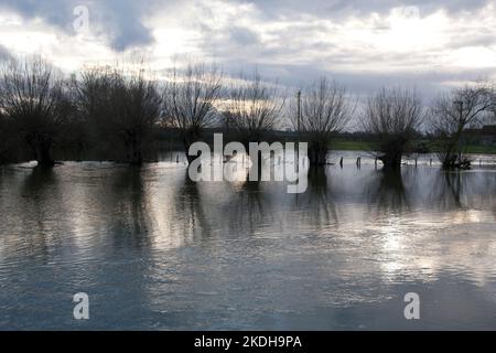 Alluvioni nel Newbridge South Oxfordshire 2021 intorno al Tamigi e al fiume Windrush, Inghilterra Foto Stock