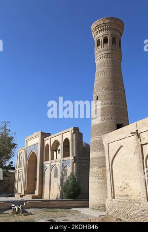 Gavkushon Madrasa e Khoja Kalon Minareto, Bakhauddin Naqshbandi Street, Centro storico, Bukhara, Provincia di Bukhara, Uzbekistan, Asia centrale Foto Stock