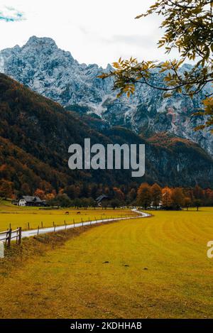 Valle di Logar o Dolina di Logarska nelle Alpi della Slovenia in autunno. Foto Stock