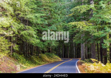 Strada panoramica attraverso la foresta autunnale nel Mount Rainier National Park, Washington Foto Stock