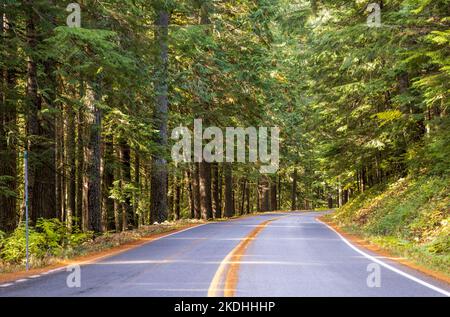 Strada panoramica attraverso la foresta autunnale nel Mount Rainier National Park, Washington Foto Stock