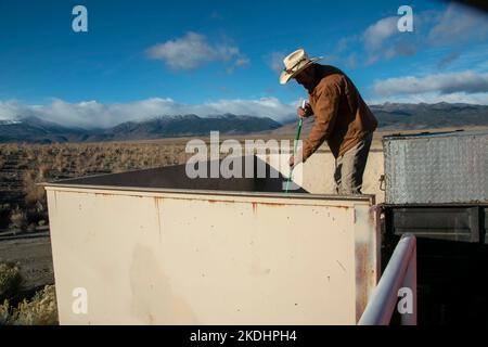 La gente porta i loro rifiuti a questo evento gratuito di dump day presso la stazione di trasferimento di Bridgeport nella contea di Mono, CA sponsorizzato da Caltrans. Foto Stock