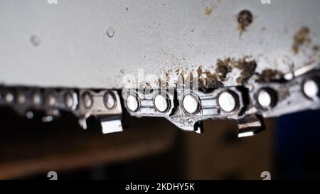 Catena della motosega sul primo piano dello pneumatico. Denti di sega per il taglio del legno su uno sfondo sfocato. Attrezzo agricolo Foto Stock