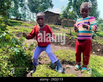 Parco Nazionale dei vulcani, Rwanda 4th settembre 2022 i bambini del villaggio guardano i trekking delle scimmie dorate Foto Stock