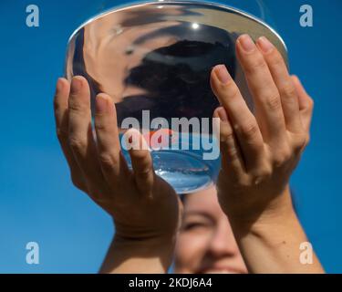 Donna che tiene un acquario rotondo con pesci oro su sfondo cielo blu. Foto Stock