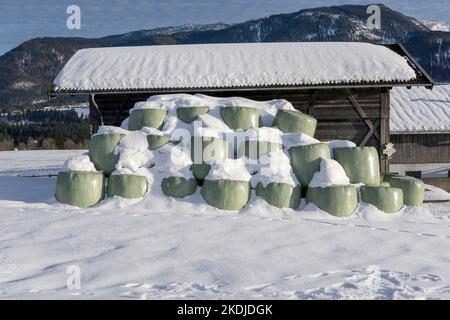 balle dritte avvolte in verde nella neve durante l'inverno davanti a una cabina di legno Foto Stock