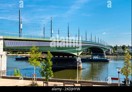 Kennedy Bridge attraverso il fiume Reno a Bonn - Nord Reno-Westfalia, Germania Foto Stock