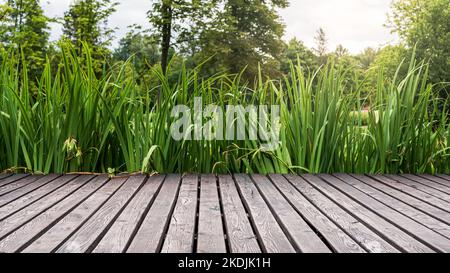 terrazza fatta di tavole di legno sullo sfondo di un bellissimo parco verde Foto Stock