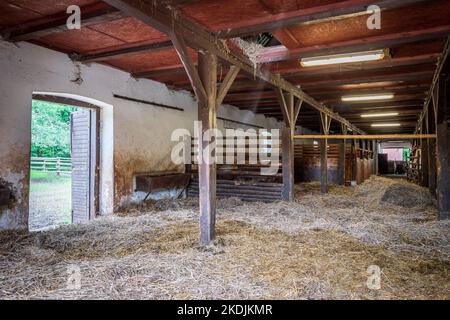 Interno di stalla in allevamento di cavalli a Florianka, Zwierzyniec, Roztocze, Polonia. Pulire il fieno sdraiato sul pavimento. Bevitore e bancarelle per cavalli in Foto Stock