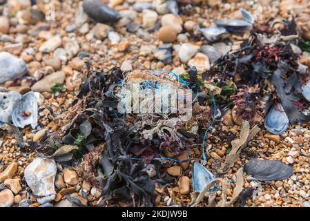 Eastbourne Beach Strandline Foto Stock