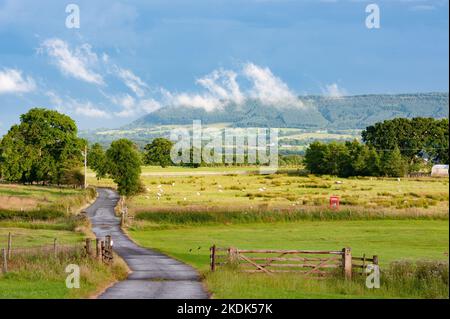 Vista di Longridge Fell da Dinkling Green, Whitewell, Clitheroe, Lancashire, Regno Unito Foto Stock