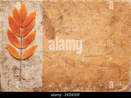 Sfondo marrone grunge con foglie. Tessitura astratta vintage Foto Stock