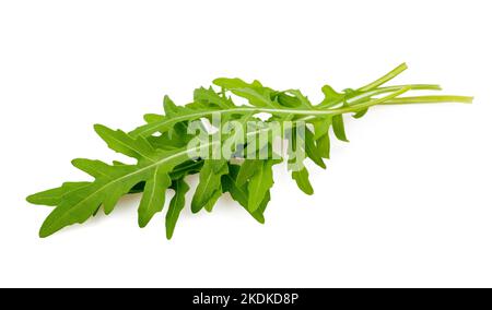 Ciuffi di rucola freschi isolati su bianco Foto Stock