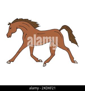 Vettore disegnato a mano doodle schizzo colorato cavallo arabo isolato su sfondo bianco Illustrazione Vettoriale