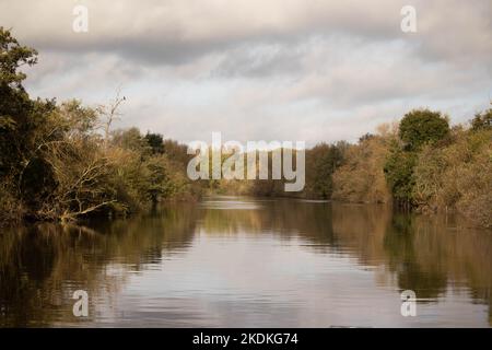 Vista autunnale su un fiume alberato Foto Stock