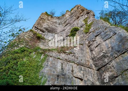 Alte scogliere calcaree, in parte arruffate, con ingressi nelle grotte e ingressi artificiali per le miniere di piombo, a Middleton Dale, Stoney Middleton, Peak District. Foto Stock