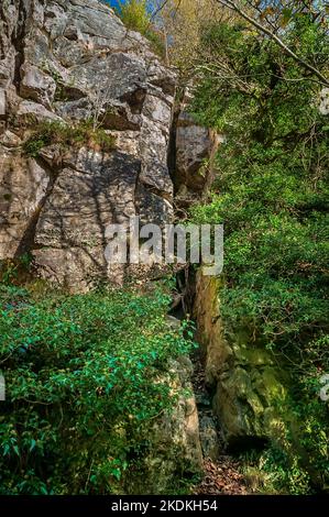 Alte scogliere calcaree, in parte arruffate, con un profondo e stretto opencut su una vena di piombo minerario, a Middleton Dale, Stoney Middleton, Peak District. Foto Stock