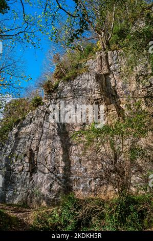 Alte scogliere calcaree, in parte arruffate, con ingressi nelle grotte e ingressi artificiali per le miniere di piombo, a Middleton Dale, Stoney Middleton, Peak District. Foto Stock