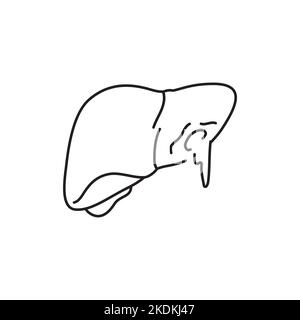 Icona della linea di colore del fegato per sanguinamento parenchimale. Concetto di lesioni. Illustrazione Vettoriale