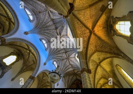 Chiesa di nostra Signora dell'Assunzione, soffitto, Elvas, Alentejo, Portogallo Foto Stock