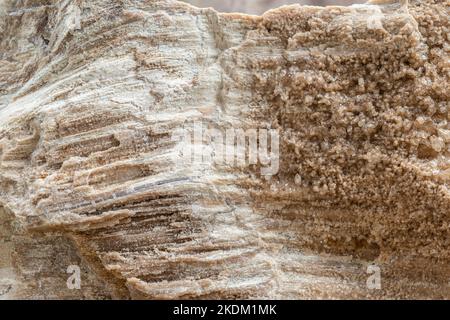 Tronco di legno pietrificato fossilizzato con cristalli di quarzo sfondo in illuminazione naturale Foto Stock