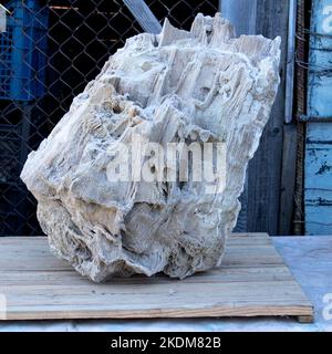 Antico vecchio legno pietrificato, scavi, minerali, come sfondo bello primo piano vista frontale stretta linea di messa a fuoco, profondità poco profonda del campo macro Foto Stock