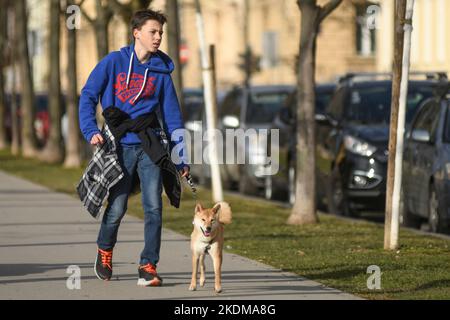 Giovane uomo che cammina il suo cane in Piazza del Re Tomislav (Trg Kralja Tomislava) durante l'inverno. Zagabria, Croazia Foto Stock