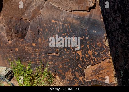 Pannello di Petroglyph al giornale Rock nel Parco Nazionale della Foresta pietrificata, Arizona, USA Foto Stock