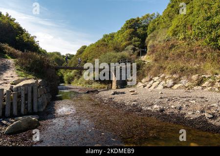 Robin Hood's Bay, Regno Unito: Ponte su Stoupe Beck sulla Cleveland Way, North Yorkshire Foto Stock