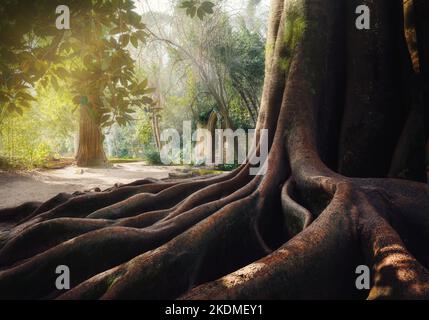 Banyan Tree e portale neogotico vicino Fonte dos Amores (Fontana dell'Amore) a Quinta das Lagrimas Gardens - Coimbra, Portogallo Foto Stock