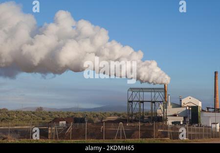 Emissioni di gas della fabbrica di olio d'oliva a Tierra de Barros, Estremadura, Spagna Foto Stock