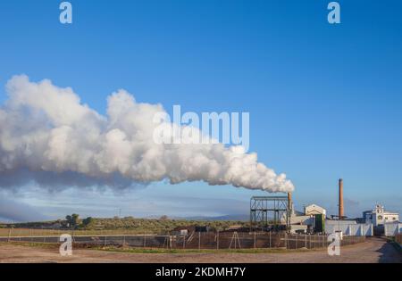 Emissioni di gas della fabbrica di olio d'oliva a Tierra de Barros, Estremadura, Spagna Foto Stock