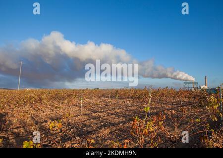 Emissioni di gas della fabbrica di olio d'oliva a Tierra de Barros, Estremadura, Spagna Foto Stock