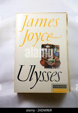 James Joyce, Ulisse. Copertina del libro. Flamingo Modern Classics Edition. Configurazione di Studio. Novembre 2022. Foto Stock