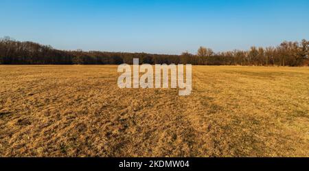 Prato primaverile con foresta intorno e cielo limpido in CHKO Poodri, Repubblica Ceca Foto Stock