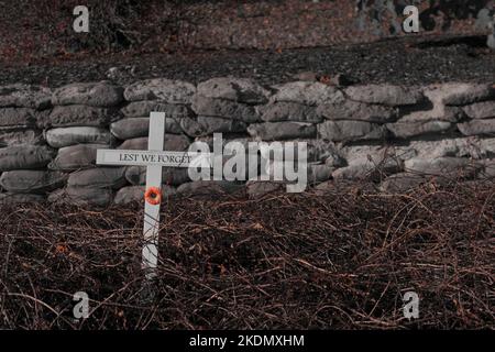 Un papavero rosso su una croce bianca tra bramboli. La croce dice Lest che dimentichiamo. È desaturato ad eccezione del colore rosso. Foto Stock