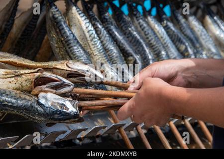 Preparazione di sgombri affumicati freschi in un ristorante di pesce da servire Foto Stock