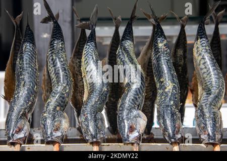 Preparazione di sgombri affumicati freschi in un ristorante di pesce da servire Foto Stock