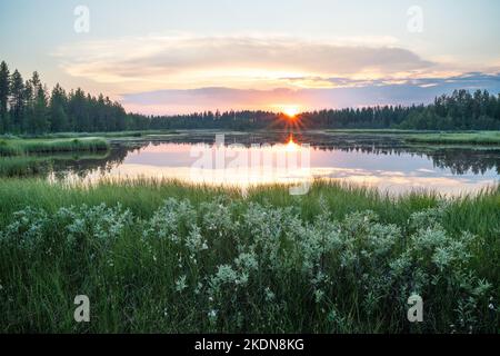 Tramonto estivo su un piccolo lago con lussureggianti rive vicino a Kuusamo, Finlandia settentrionale Foto Stock