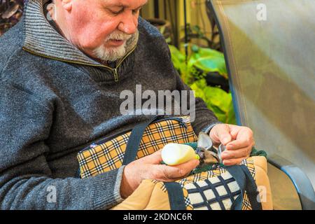 Coober Pedy, South Australia -27 agosto 2019: Un tour guidato consente ai turisti e alle famiglie di incontrare un cucciolo orfano o joey, al Coober Pedy Foto Stock